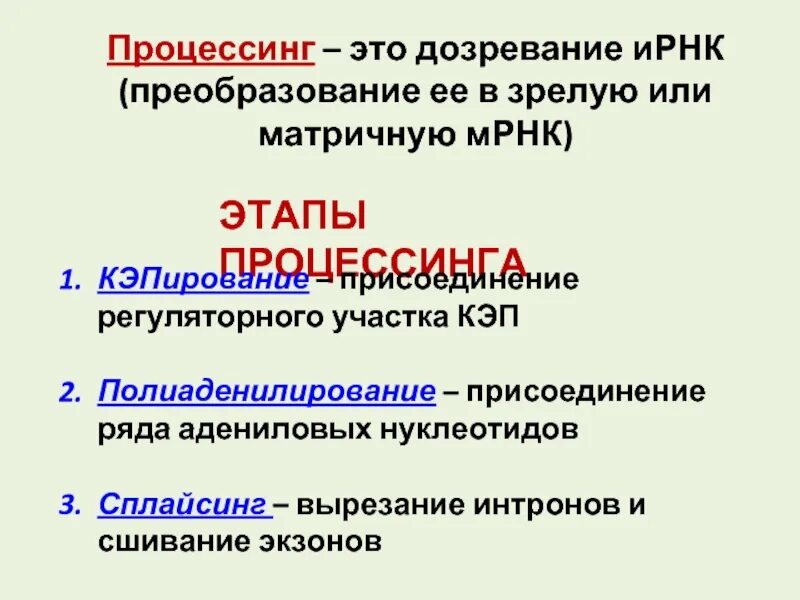В молекуле ирнк содержится 300 адениловых