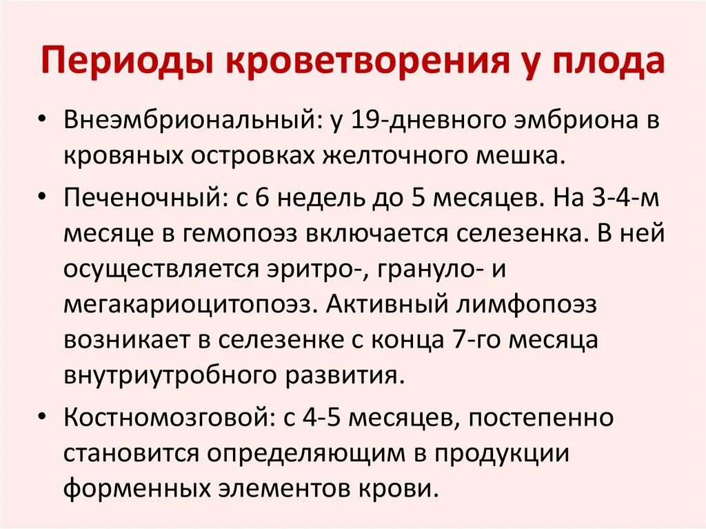 Органы гемопоэза. Периоды гемопоэза эмбрионального гемопоэза. Пкриодв кроветворения. Этапы кроветворения у плода. Особенности кроветворения у плода.