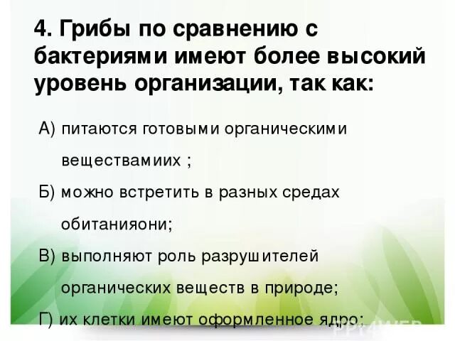 Грибы более высокоорганизованные организмы чем бактерии. Почему грибы более высокоорганизованные организмы чем бактерии. Гриб уровень организации. Грибы по сравнению с бактериями имеют