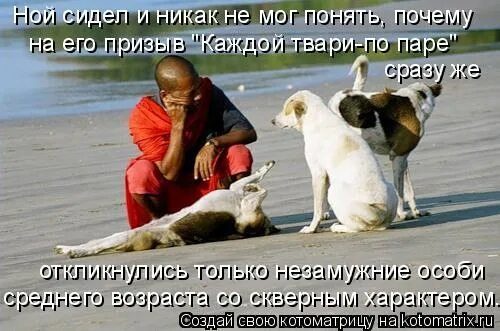 анекдот про плед. кошка сидит в интернете. шутки про компьютер. дома он больше никак не мог усидеть. приколы мама не пускает гулять.