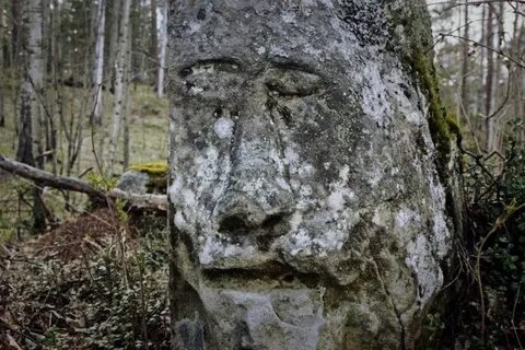 Секреты сибири