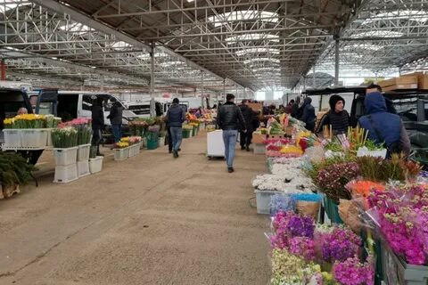 Адрес цветочного рынка в краснодаре оптовый