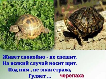Спокойно не спеша