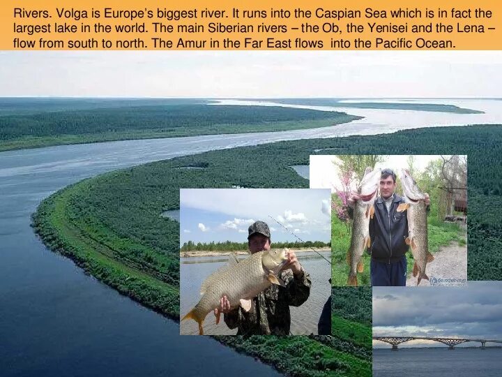 Volga river сочинение на английском. River надпись. Волга на английском языке. Сообщение о реке волге. Волга на английском языке.