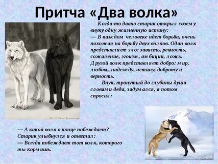 Что значит кормить волка
