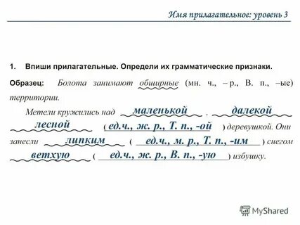Контрольная имен прилагательных 3 класс