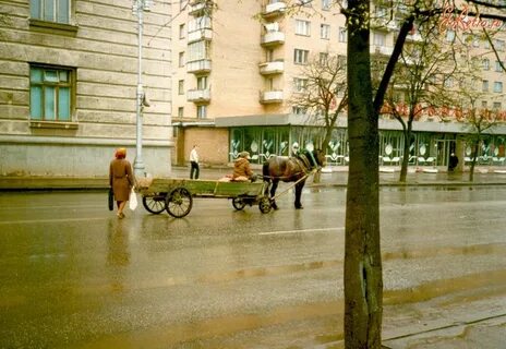 Е курский