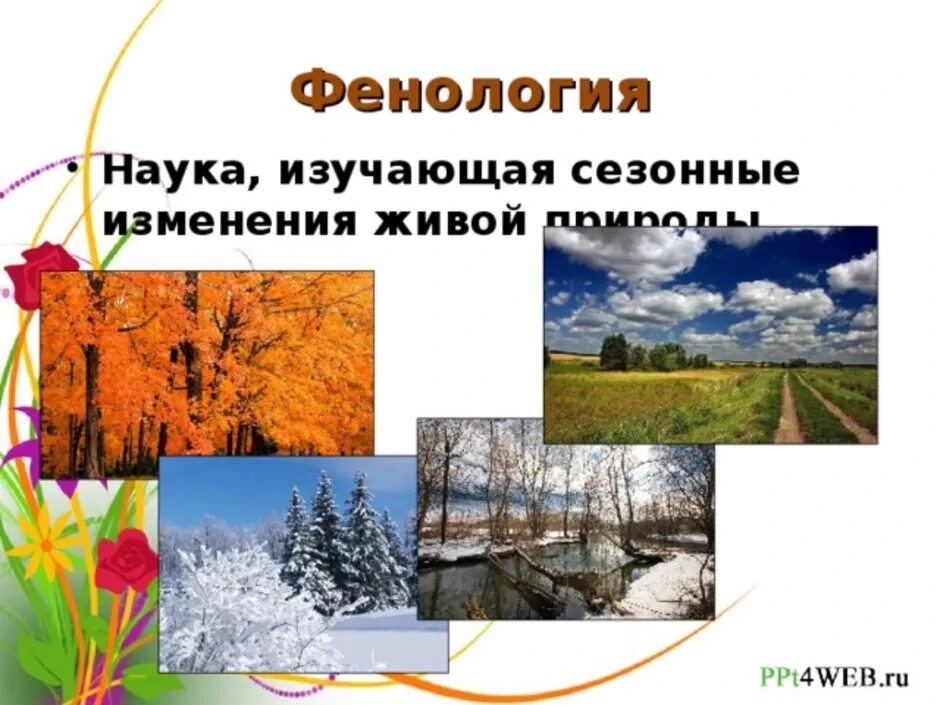 Сезонные изменения в природе. Фенологические явления. Сезонные явления в природе. Сезонные (фенологические) изменения. Сезонные изменения в природе 5 класс таблица