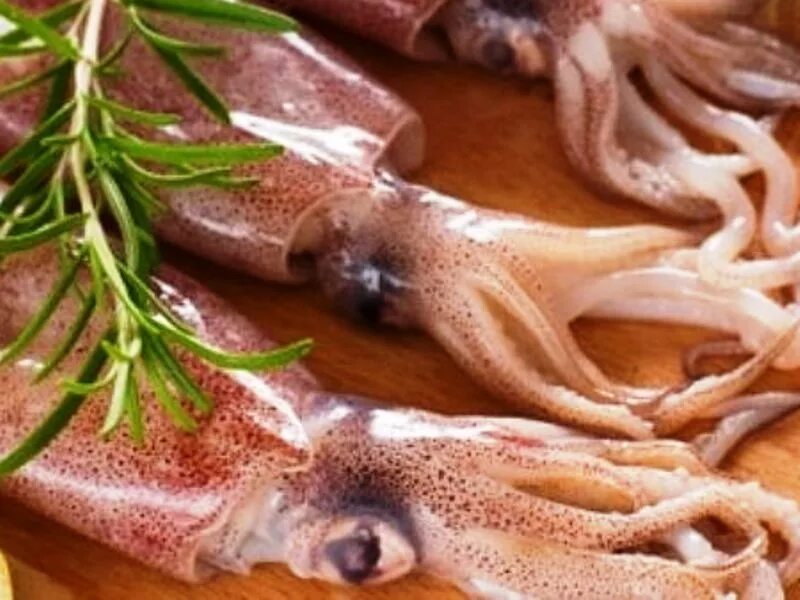 Говорить кальмары