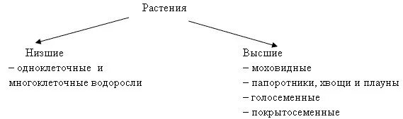 Определение высших и низших растений. Растения низшие и высшие схема. группы растений высшие и низшие. высшие растения и низшие растения. царство растений низшие и высшие.