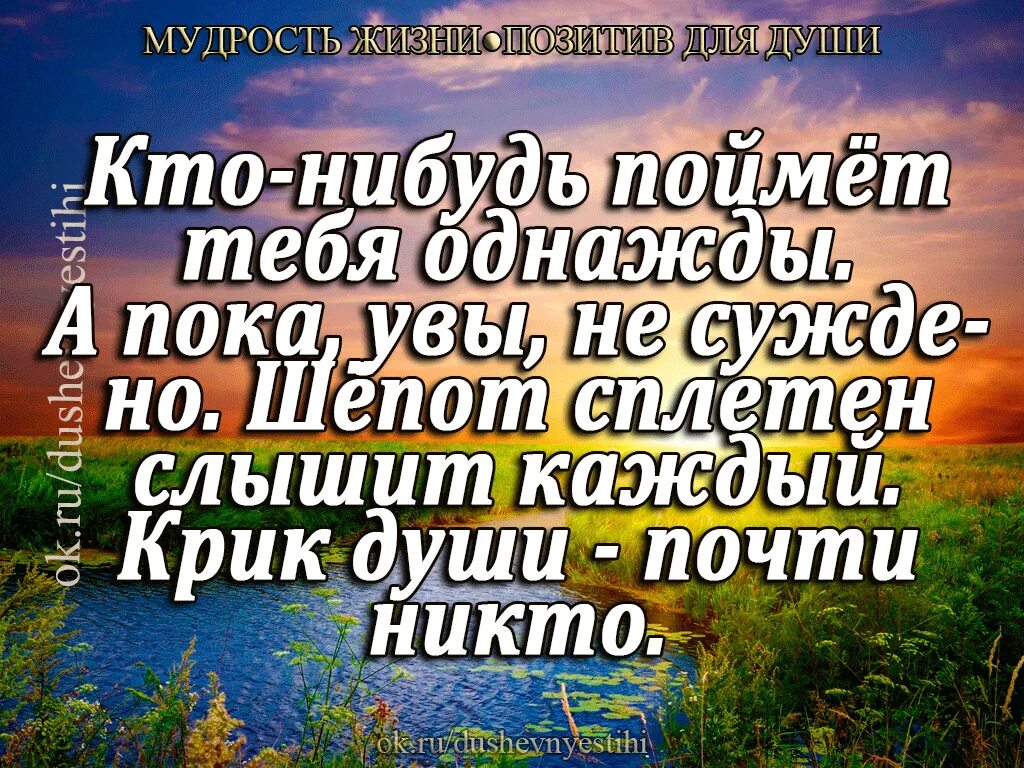 Мудрые картинки. Мудрость жизни. Мудрость жизни цитаты. Мудрость жизни в картинках. Афоризмы про мудрость.