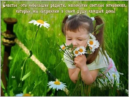 Живи радуясь каждому дню