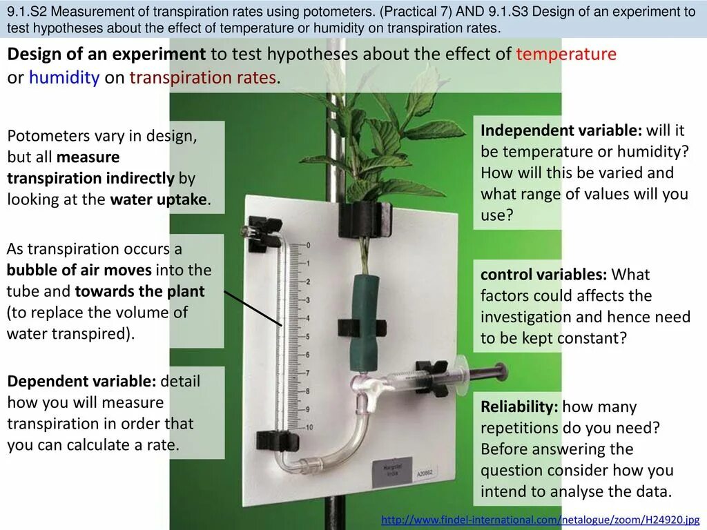 Measure the rate. How to calculate reaction time. Engagement rate как считать. Rate of reaction formula. Measure the rate.