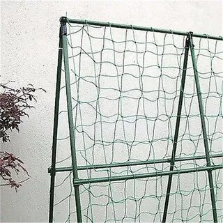 Огурцы шпалера сетка