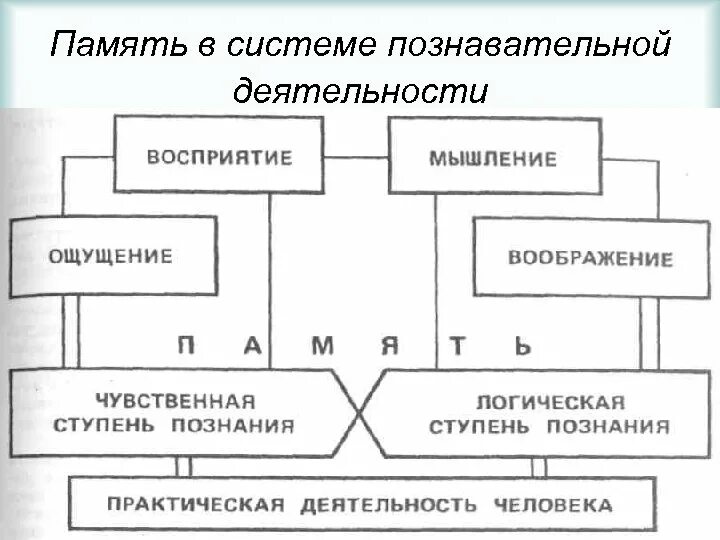 Высший процесс познавательной деятельности человека. Схема взаимосвязи основных процессов познавательной деятельности. Схема познавательных процессов памяти. Схема 1. взаимосвязь познавательных процессов и деятельности. Схема когнитивной психологической деятельности.