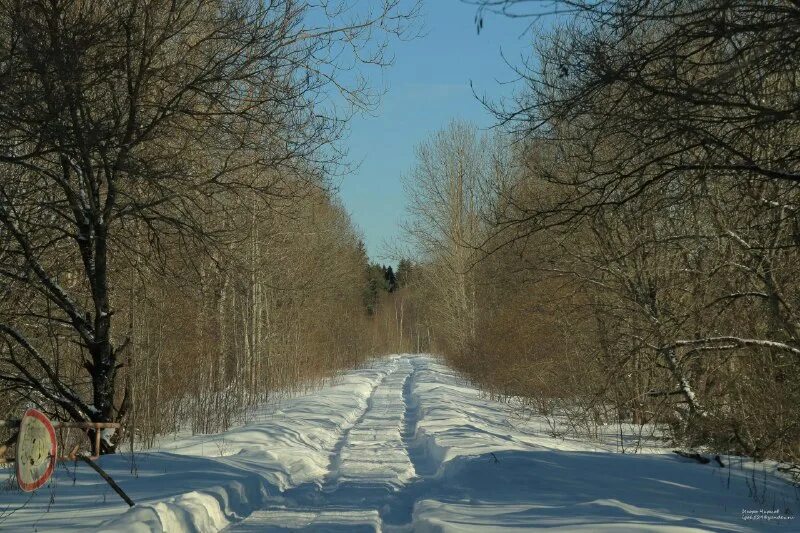 усадьба витгенштейна аллея. дружноселье психиатрическая больница. усадьба дружноселье. усадьба дружноселье ленинградская область. костел в дружноселье.