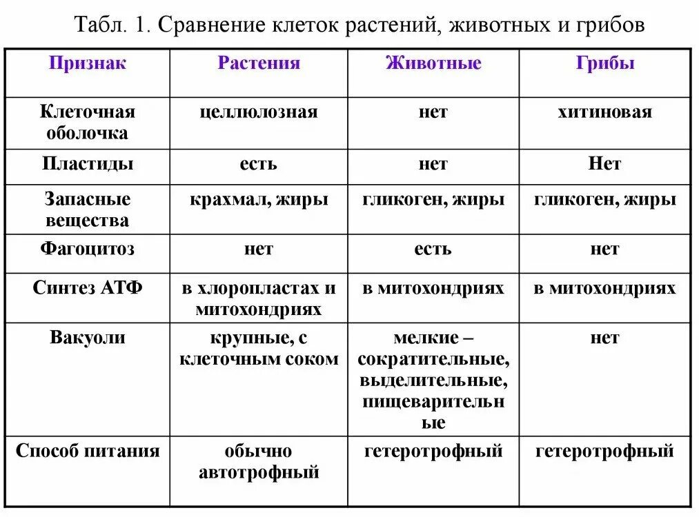 Черты сходства растительной и грибной клетки