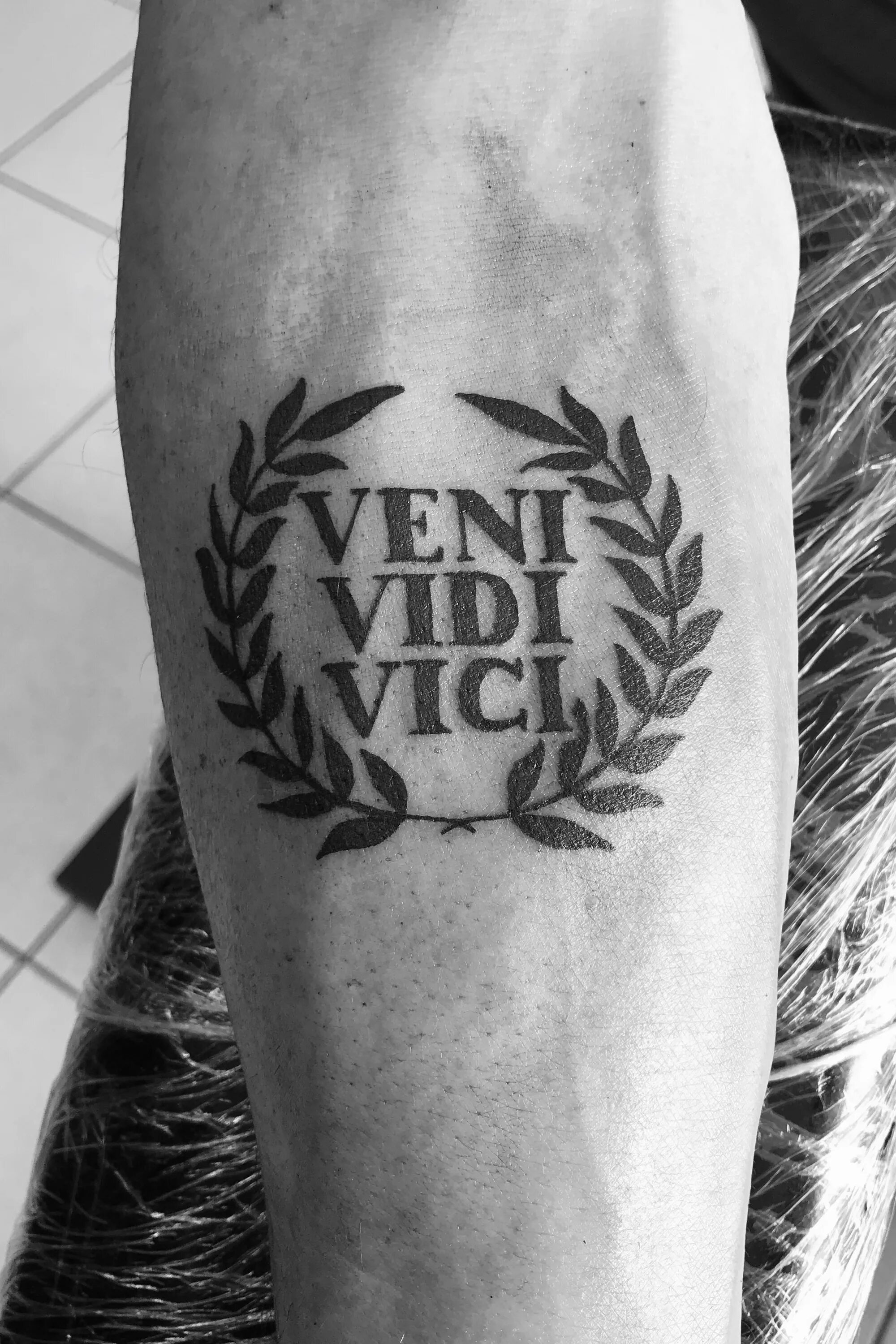 Пришел увидел победил значение. Veni vidi Vici тату. Татуировка вини види Вичи. Вени види Вичи эскиз. Татуировка вени види Вичи.