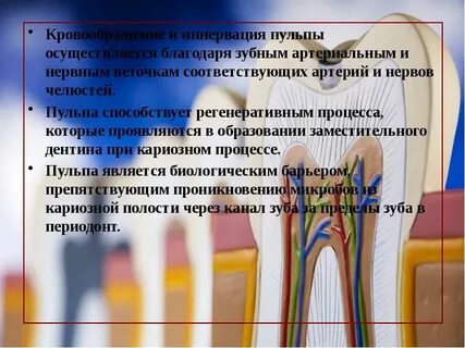 Чувствительность пульпы