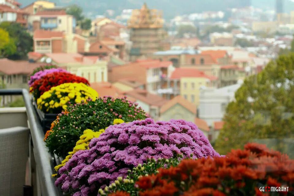 Spring travel