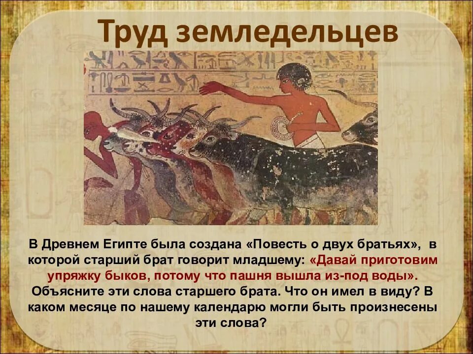 Один день из жизни египетского. Труд земледельников в древнем египте. один день из жизни земледельца в древнем египте. труд земледельцев в древнем египте. земледелец из древнего египта.