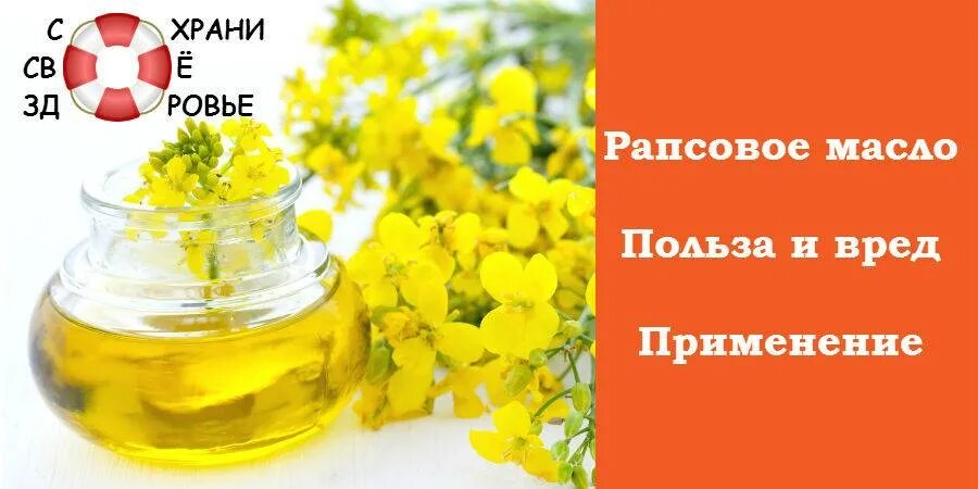 Для чего применяется рапсовое масло. Масло рапсовое. рапс масло. рапсовое масло полезно. рапсовое масло вред и польза.