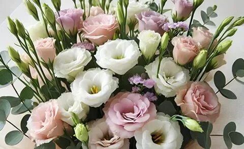 Красноярскідегі демалыс үшін ең жақсы жезөкшелер