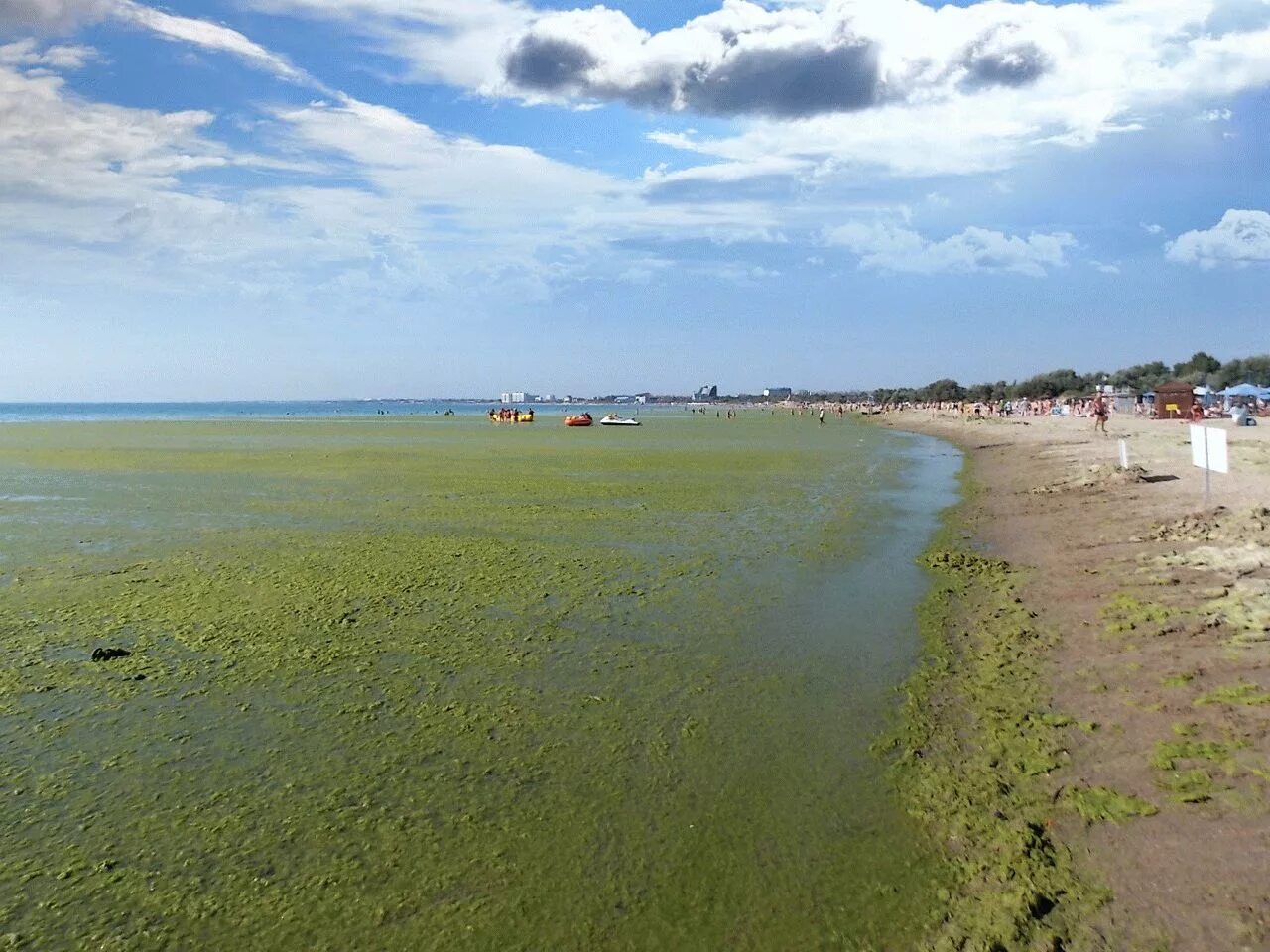 Анапа Витязево море цветет. Джемете Анапа море цветет. Цветение моря в Анапе. Анапа берег цветет. В анапе есть вода