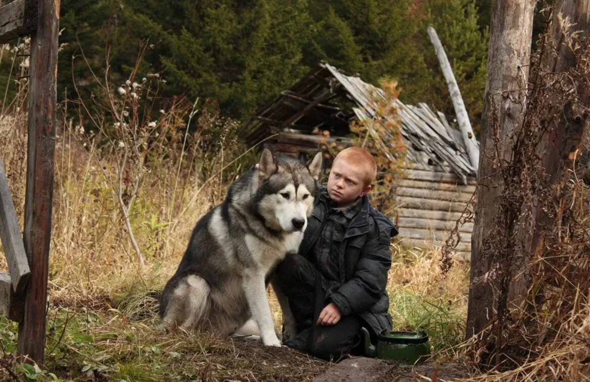 Живем в тайге 2