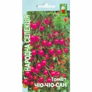 Семена чио чио