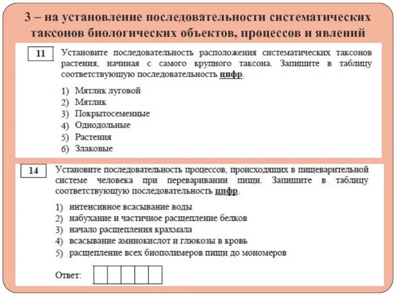 Последовательность расположения систематических таксонов начиная с наименьшего