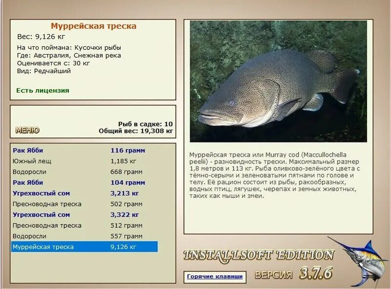 Максимальный вес рыб. Вес рыбы трески. Треска рыба вес. Размер трески рыбы. Треска рыба Размеры.
