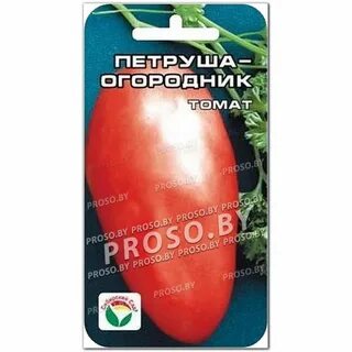 Урожайность томата петруша огородник