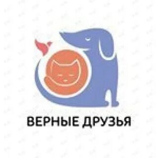 Верный друг владивосток