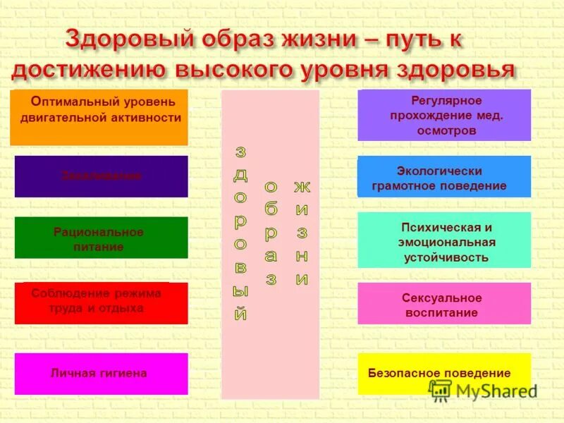 Культура здорового образа жизни 11 класс обж