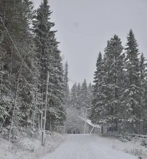 Новожилово березники