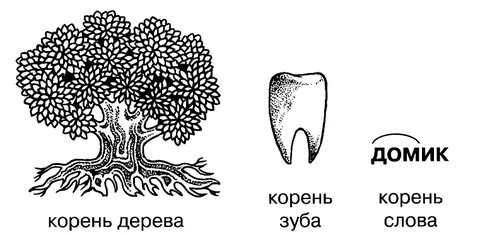 Орел корень