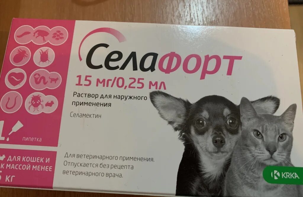 Селафорт для кошек 5 кг. Селафорт для котят. Селафорт для кошек для котят. Селафорт капли для котят. Селафорт капли на холку для кошек.