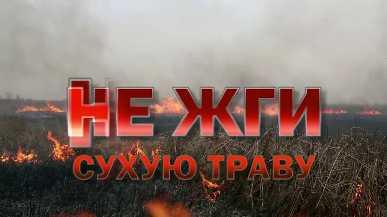 Х жжет