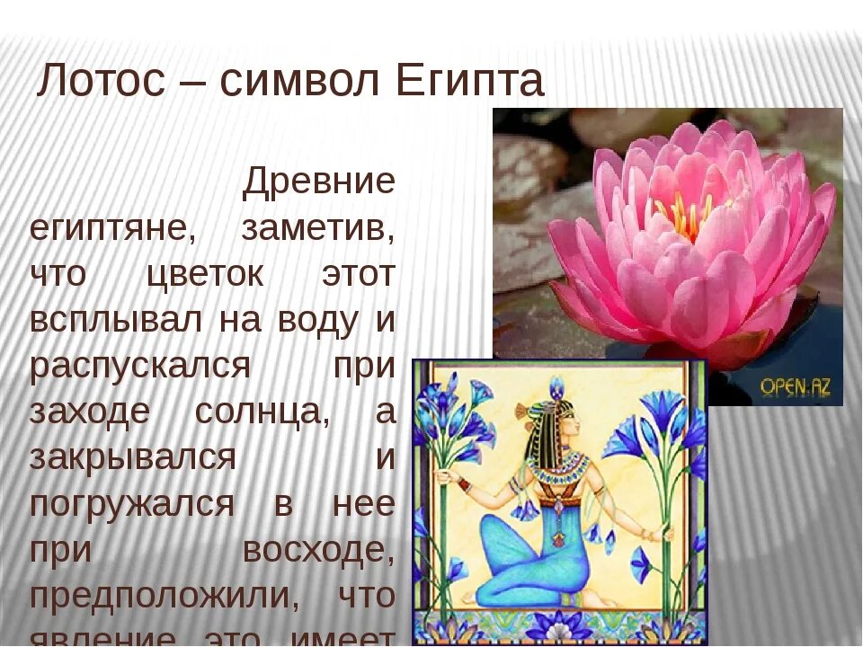 Растение символ страны. Лотос символ. Что символизирует Лотос. Цветок символ. Символы цветов.