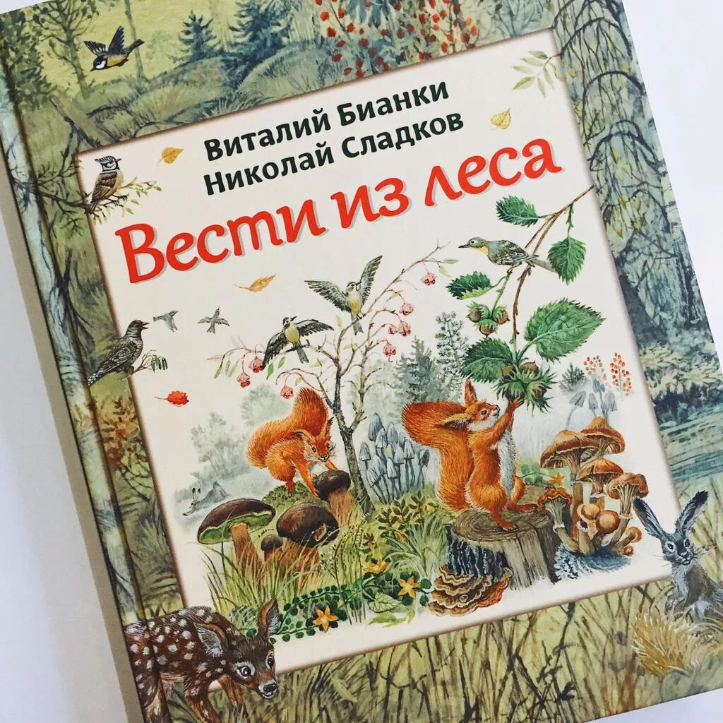 Круглый год сладков. Лесные сказки Виталия Бианки. Бианки и Сладков вести из леса радиопередача.