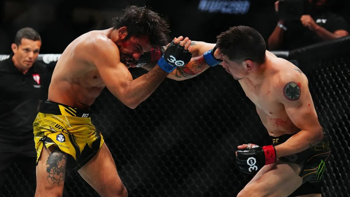 Ройвал ufc