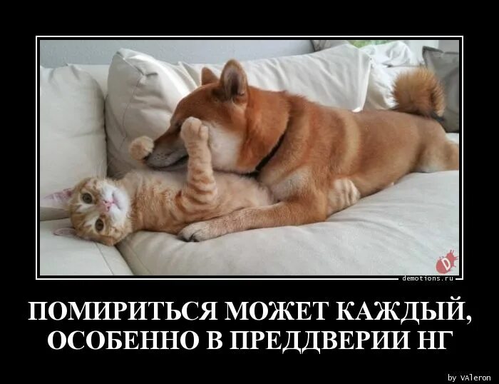 Помиримся ли с бывшим. Помиримся ли с бывшим