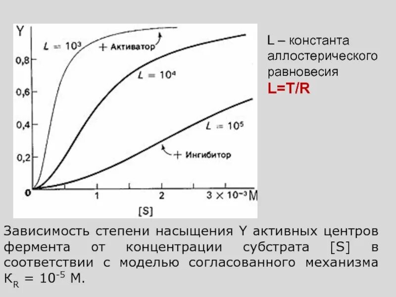 Зависимость ферментов от концентрации субстрата. Зависимость от концентрации субстрата. Константа Михаэлиса биохимия зависимость. Константа Михаэлиса зависит от концентрации. Михаэлиса Ментен уравнение зависимость от концентрации.