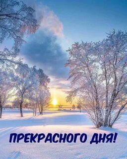 Морозным утренним днем