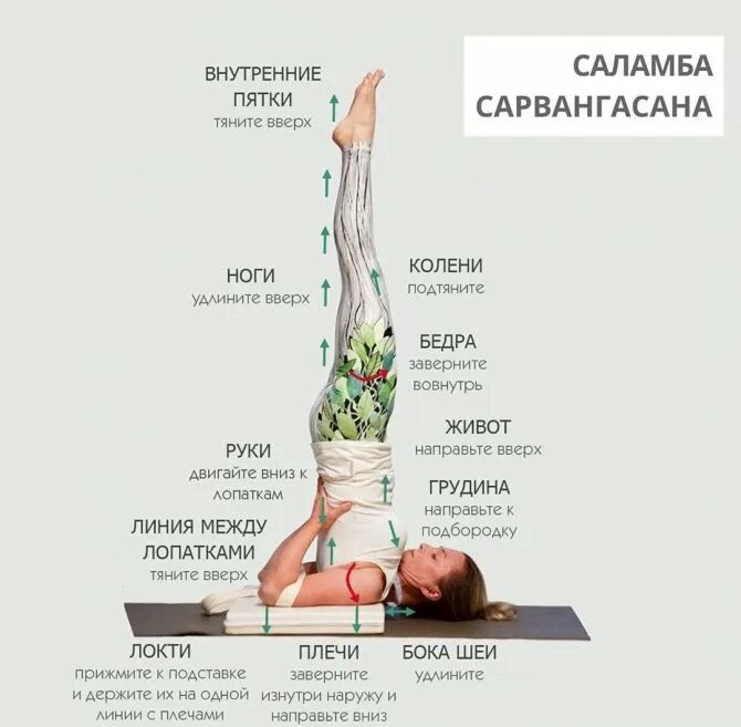 Стойка ноги вверх. Паривритта сарвангасана. стойка на голове техника. стояние на голове йога. сарвангасана поза.