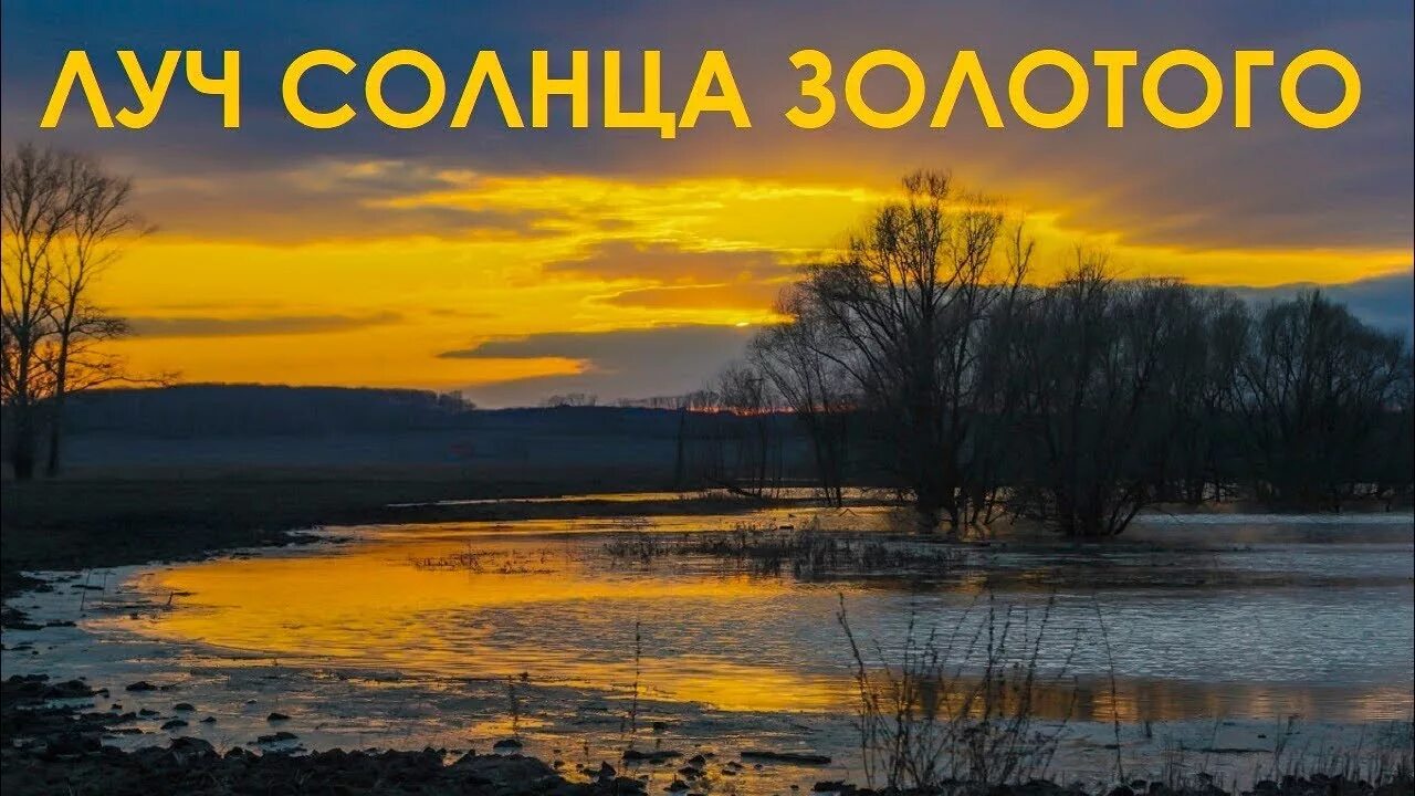 Песня луч солнца золотого баста. Луч солнца золотого. Бременские музыканты Луч солнца золотого. Luch solnza Zolotogo. Луч солнца золотого картинки.