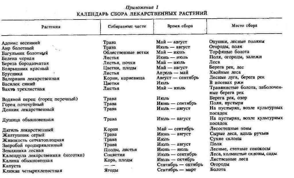 Листья на латыни. Таблица сбора трав по месяцам. Лекарственные растения список по алфавиту. Список лечебных трав и краткое описание таблица. Лекарственные растения России таблица.