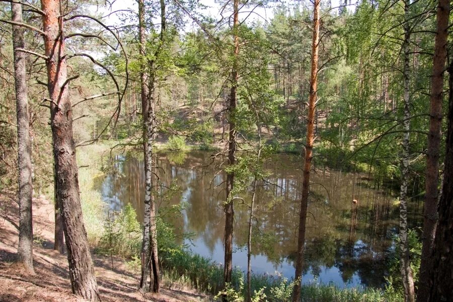 Погода светлое озеро. Озеро светлое Нижегородская область Володарский район. Фролищи Нижегородская область озера. Светлые озера Нижегородской области. Еловое озеро Нижегородская область.