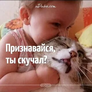 Виде ты скучал